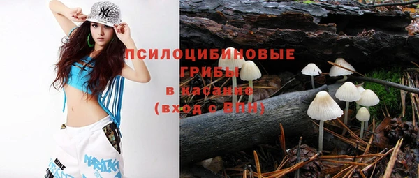 прущая мука Алзамай