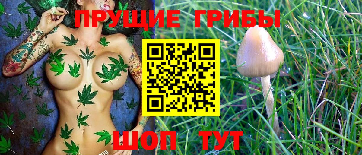 Галлюциногенные грибы GOLDEN TEACHER Киров