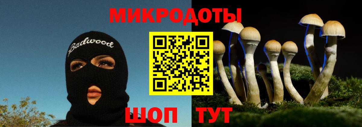 Псилоцибиновые грибы Cubensis  Галлюциногенные грибы Psilocybine cubensis  Киров  Вход с VPN 